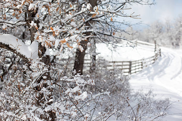 Colorado Grand Mesa in Winter White with First Snow