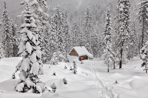 Small cottage among snowy forest.