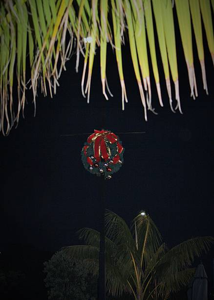 istock Christmas Wreath on a lamp post under palm trees 497351182