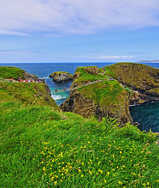 istock Carrick-a-Rede tiny Irish Coastal Island with flowered bluff overlooking 497351638