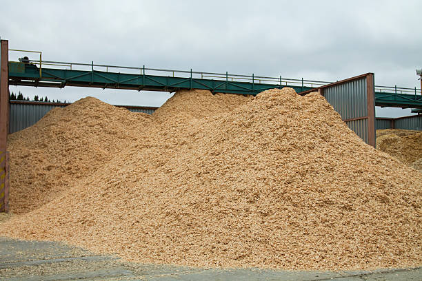 istock Sawdust Piles in the Sawmill 497352656