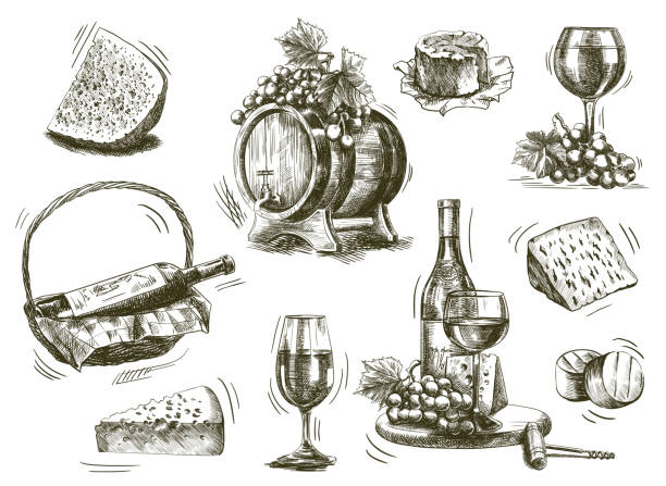 winemaking winemaking. set of sketches on a white background wine tasting stock illustrations