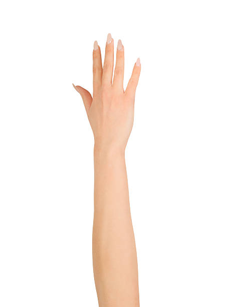 istock Beauty woman hand over white 497356516