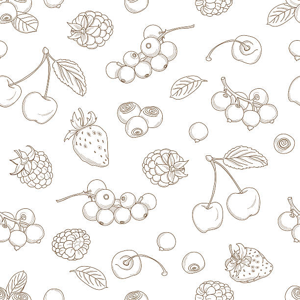 illustrations, cliparts, dessins animés et icônes de contour sans couture dessinés à la main motif baie - berry fruit currant dessert vector