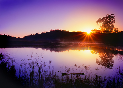 Sun Rise Reflection In A Still Pond Central California