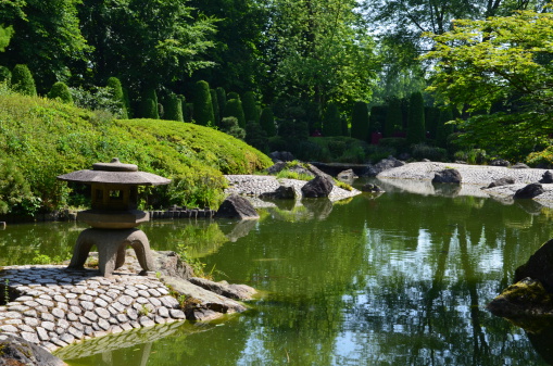 beautiful japanese garden in summer