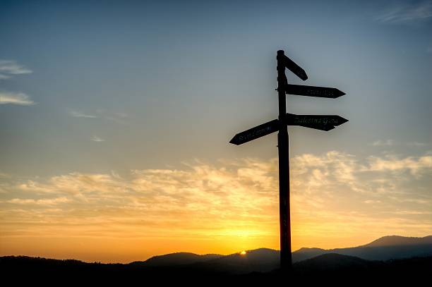 istock Silhoutte of a direction sign with sunrise 497372979