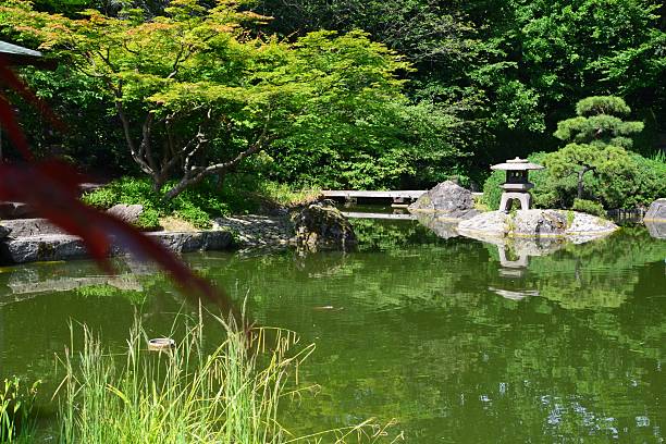 istock japanese garden 497373449
