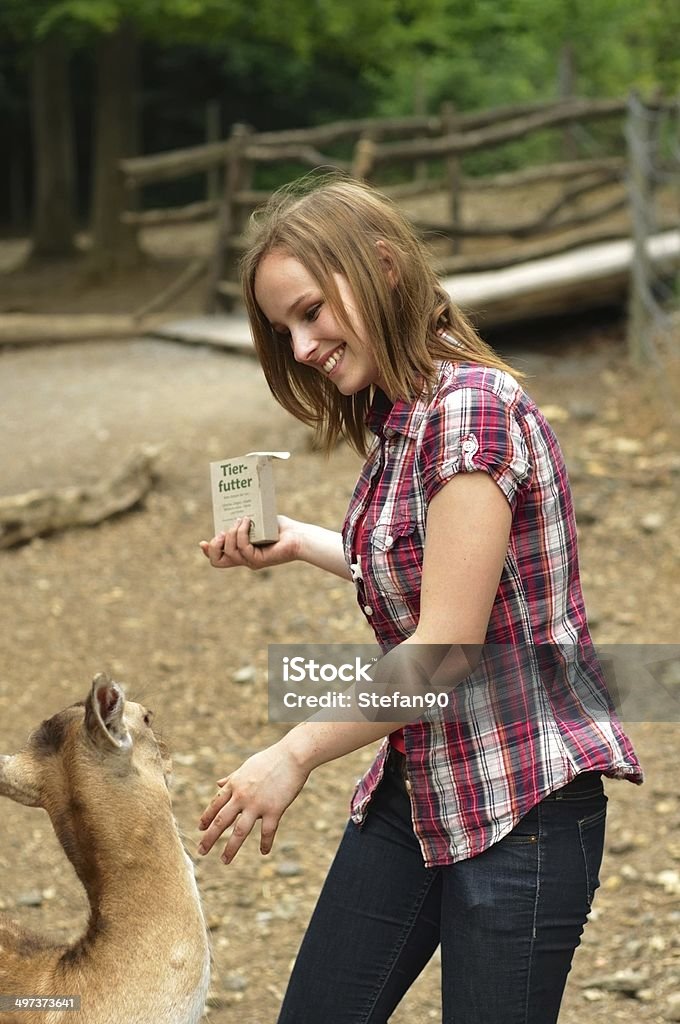 젊은 여자 먹이기 사슴 - 로열티 프리 감금 상태 스톡 사진