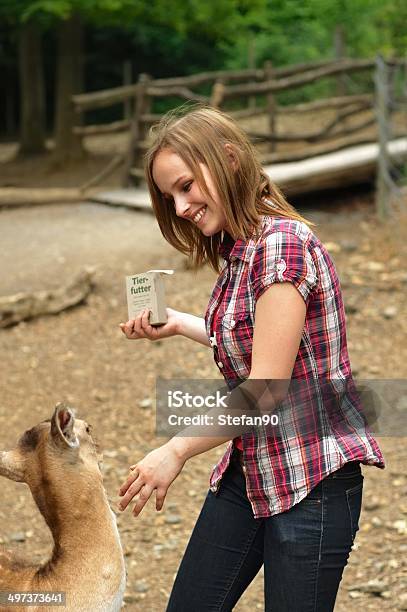 젊은 여자 먹이기 사슴 감금 상태에 대한 스톡 사진 및 기타 이미지 - 감금 상태, 공원, 관광객