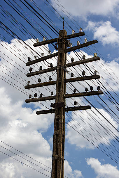 istock power tower silhouetted against blue sky and light clouds 497375765