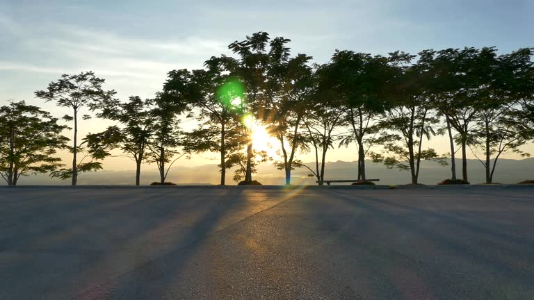 car plowed through a tree and sunset views.