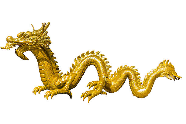 istock Giant golden Chinese dragon on isolate background 497381316