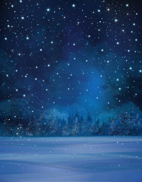 vektor winter nacht-landschaft. - christmas christmas tree snowing blue stock-grafiken, -clipart, -cartoons und -symbole