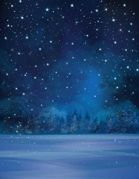 вектор зимний пейзаж ночью. - christmas landscape stock illustrations