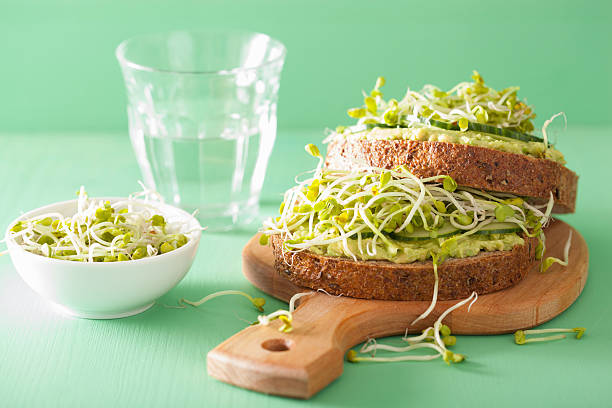 healthy rye bread with avocado cucumber radish sprouts