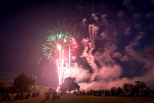 istock People looking at fireworks in honor of Independence Day 497388850