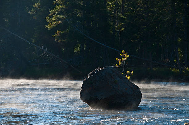 Yellowstone river landscape Yellowstone river landscape with rock witnih the river and small pine on the rock sooth stock pictures, royalty-free photos & images