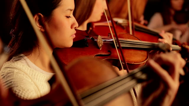 Violinists in orchestra