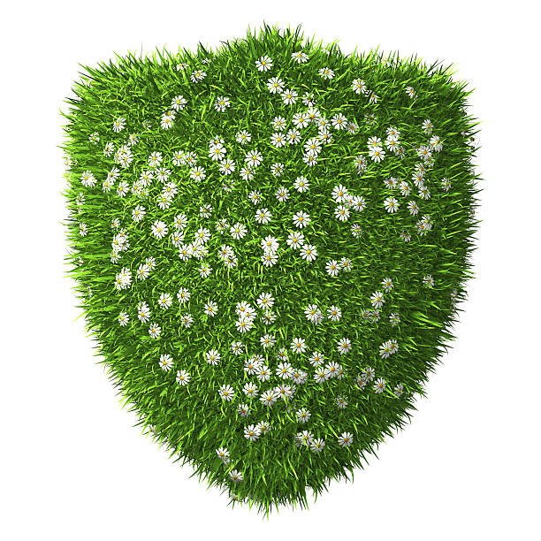 Shield of Grass and Flowers. Isolated on white background.