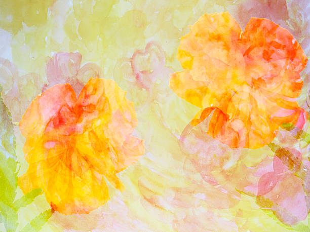 istock Colorful flower background made ​​with color filters 497391406