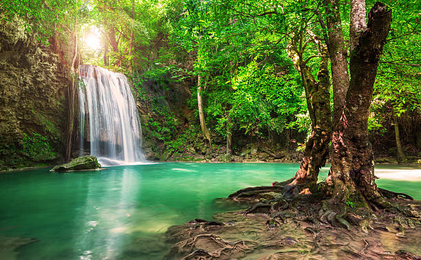 istock Beautiful waterfall in Thailand National Park 497391838