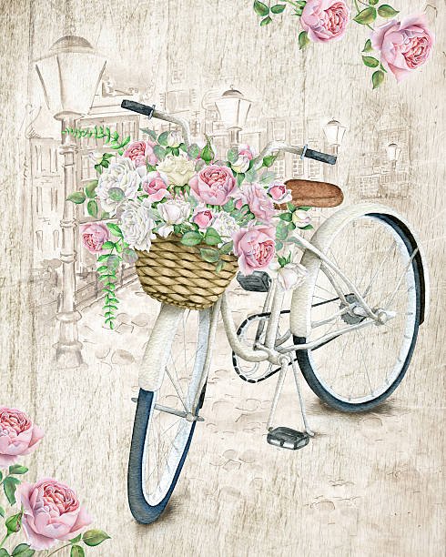 Watercolor White Bicycle With Beautiful Flower Basket on vintage background Hand drawn watercolor image. The author is Ekaterina Mikheeva, date of creation - November, 2015 english rose stock illustrations