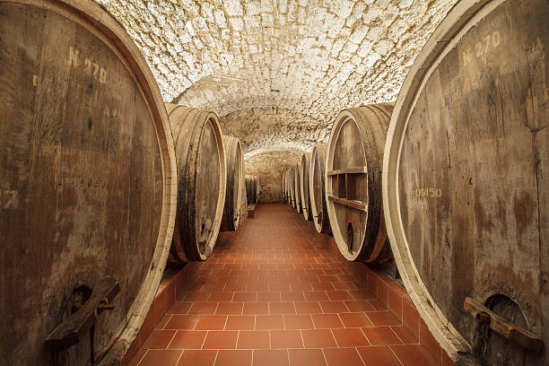 huge wine barrels stock photo