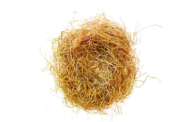 empty nest from the yellow straw empty nest from the yellow straw isolated on white leather white hide textured stock pictures, royalty-free photos & images