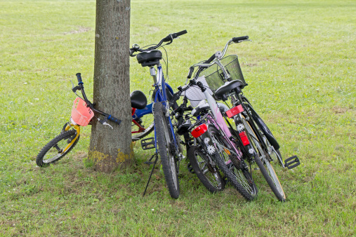 Five bicycles leaning against the tree in city park