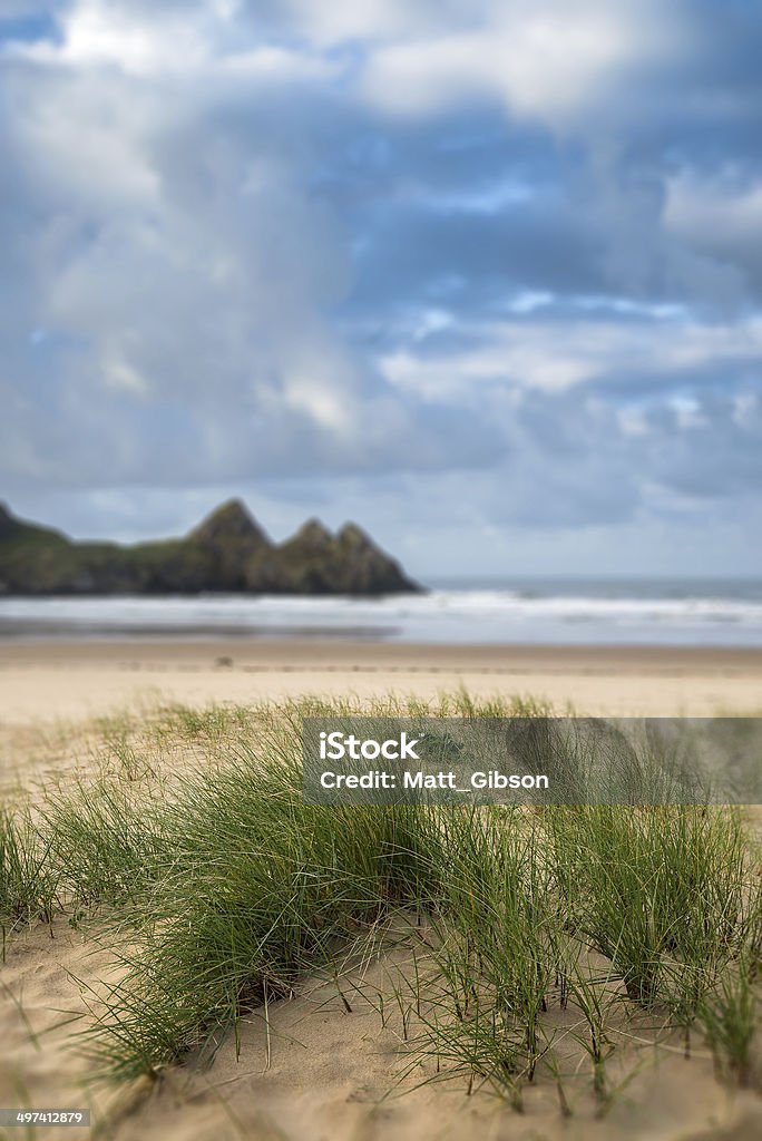 Bellissimo paesaggio con cielo blu mattino tre scogli a sandy Bay - Foto stock royalty-free di Erba