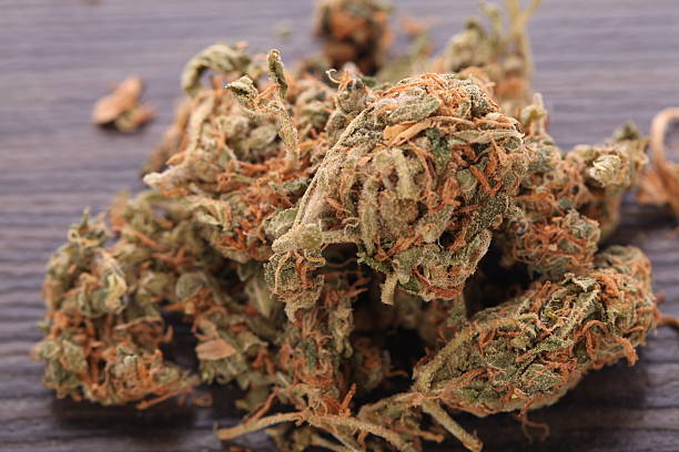 istock Close up Dried Marijuana Leaves on the Table 497414274