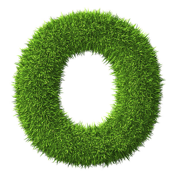 istock Letter O of grass 497416018