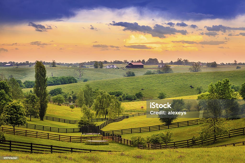 Rural Kentucky Beautiful evening scene in Kentucky's Bluegrass region Kentucky Stock Photo