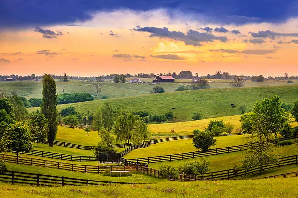 Beautiful evening scene in Kentucky's Bluegrass region
