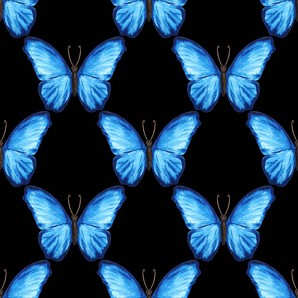 illustrations, cliparts, dessins animés et icônes de motif de papillons sans couture aquarelle bleu - blue silk morpho butterfly