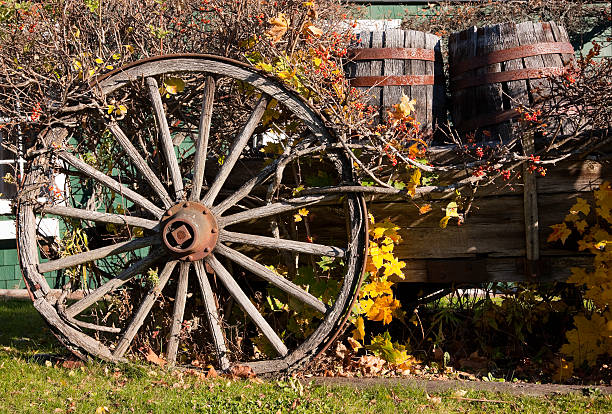 Old wooden horse cart in garden at springtime.