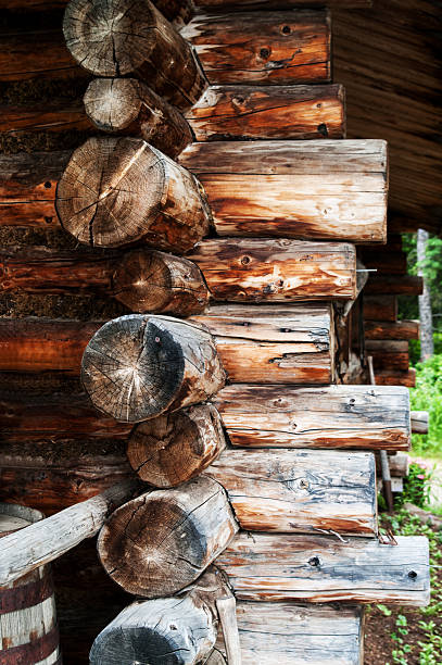 istock Conner of Log Cabin 497420480