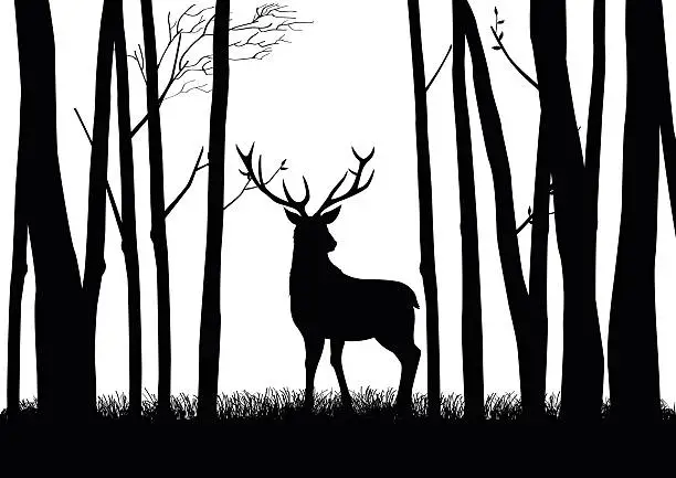 Vector illustration of Deer Silhouette