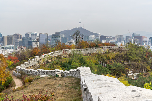 Seonggwak fortress wall of Inwangsan mountain near seoul, south korea. the castle wall with the n seoul tower in the distance. Taken during autumn foliage.