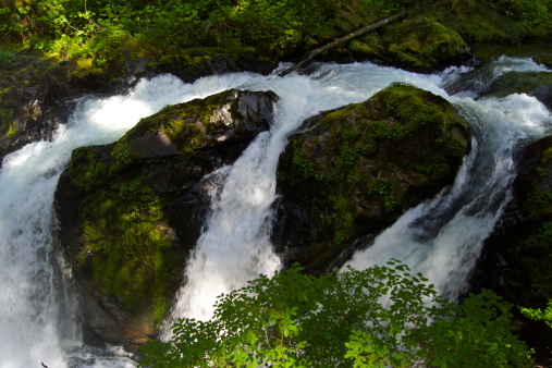 Northwest Washington's Olympic Peninsula.