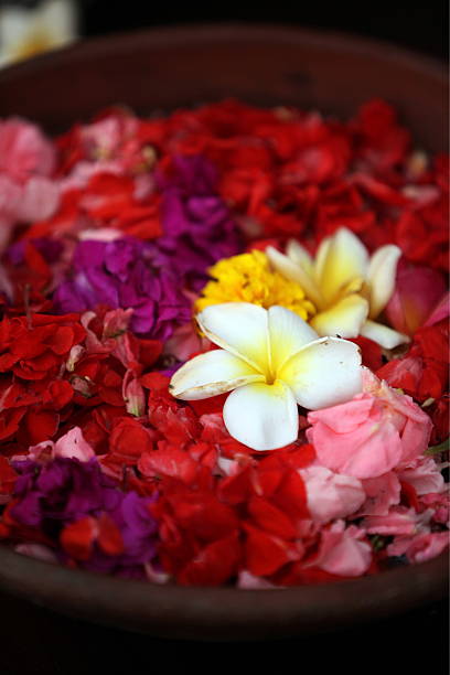 istock ASIA BALI UBUD WELCONE FLOWERS 497435125