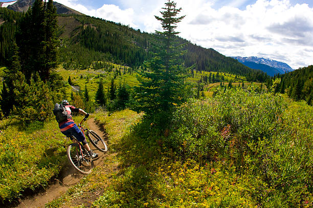 istock Mountain Bike Rider 497435825