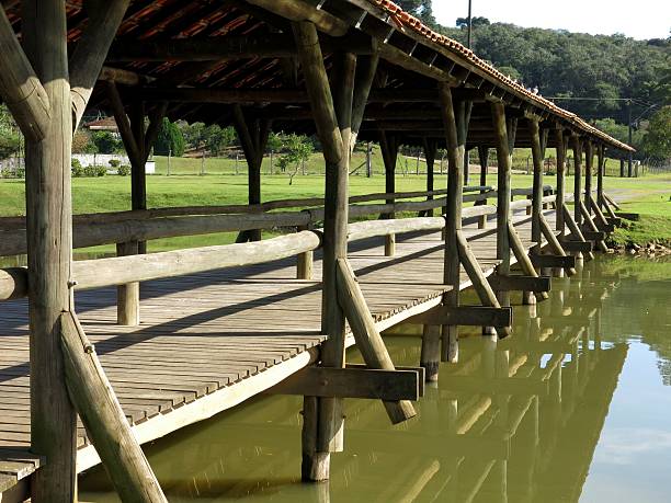 istock Curitiba Park Lake Bridge 497436157