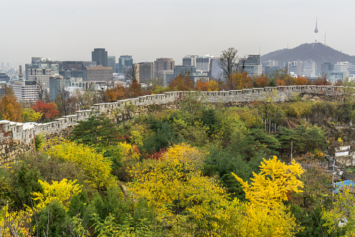 Seonggwak fortress wall of Inwangsan mountain near seoul, south korea. the castle wall with the n seoul tower in the distance. Taken during autumn foliage.Seonggwak fortress wall of Inwangsan mountain near seoul, south korea. the castle wall with the n seoul tower in the distance. Taken during autumn foliage.