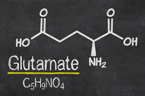 istock Blackboard with the chemical formula of Glutamate 497438528