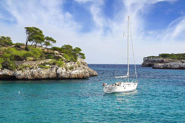 istock Picturesque sea landscape with bay. 497438832