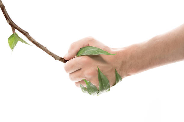 istock Life Concept. Hand shaking look like hand twigs 497442008