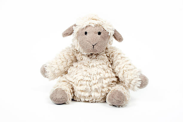 Pecore carino giocattolo isolato su sfondo bianco - foto stock