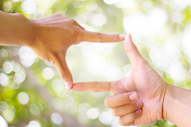 istock Photo sight:Frame made of hands with blur,bokeh tree Background 497442584